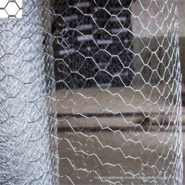 Hexagonal Hole Shape Hexagonal Wire Netting